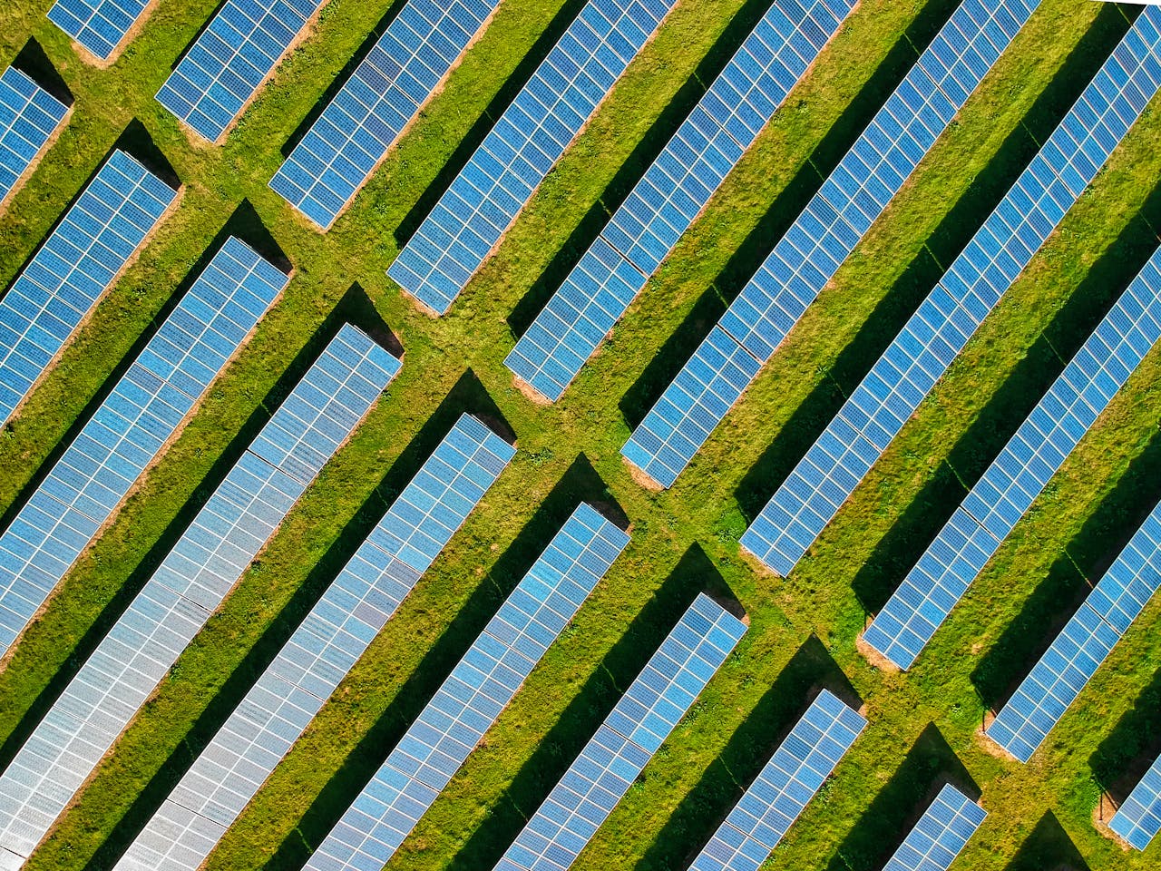 testimonial-img High-angle aerial shot of solar panels in a lush green field, located in Rockbeare, UK.